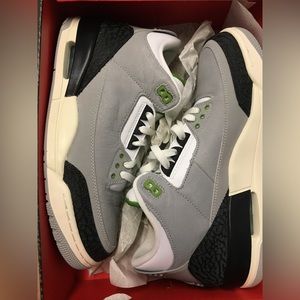 Nike Air Jordan 3 grey chlorophyll circa 2019 nwt size 9.5